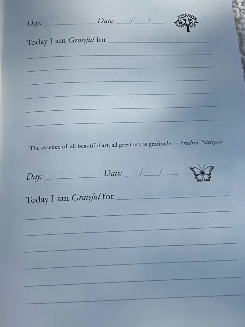 🎉BRAND NEW 🎉 The One-Minute Gratitude Journal by — Brenda Nathan